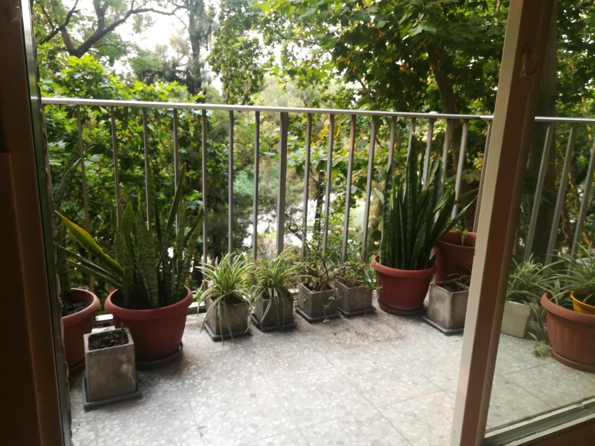 Palermo Frente Al Zoo Apartment Buenos Aires Ngoại thất bức ảnh