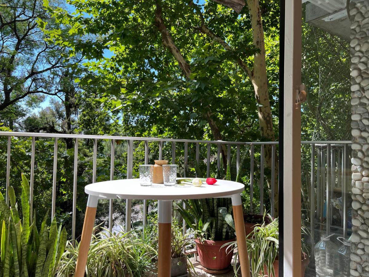 Palermo Frente Al Zoo Apartment Buenos Aires Ngoại thất bức ảnh